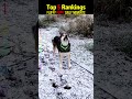A naughty dog at home #dog #funny #pets #happy #cutedog #joyful #doglife #puppy #like #cute