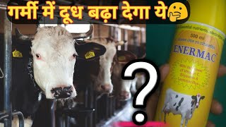 Farm Talk : Enermac एनरमैक दूध घटने नही देगा Oral complete Liquid Supplement for cow & Dairy Animals