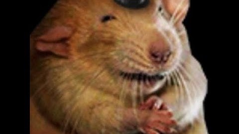 Royal Rat Authority SL1 NG+7 CoC - No Rolling/Sprinting/Blocking/Parrying