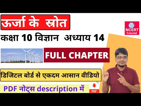 वीडियो: थर्मल वेंट के पास समुद्र में गहरे रहने वाले जीवों को छोड़कर लगभग सभी जीवों के लिए ऊर्जा का अंतिम स्रोत क्या है?