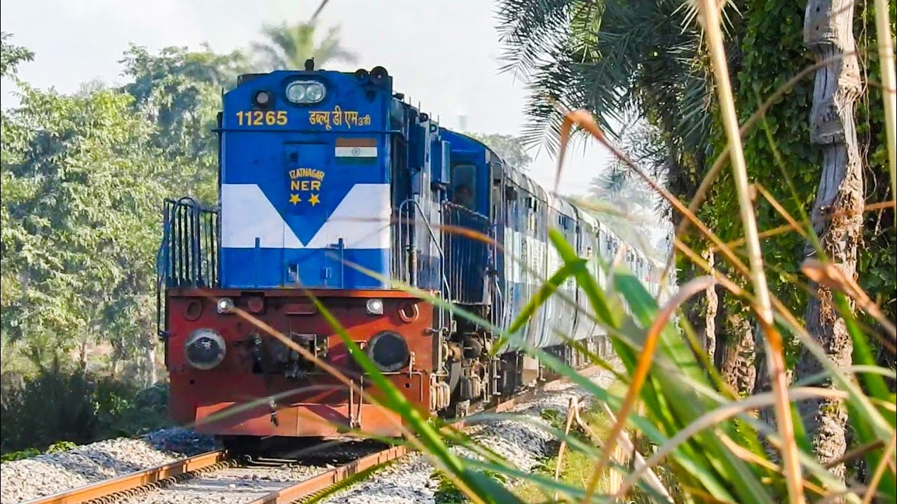 Ear Piercing Horn by WDM3D of IZZATNAGAR Shed with Lalkuan Kashipur Passenger