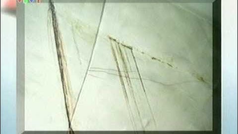 Lucky368 - Hầm Kim Liên