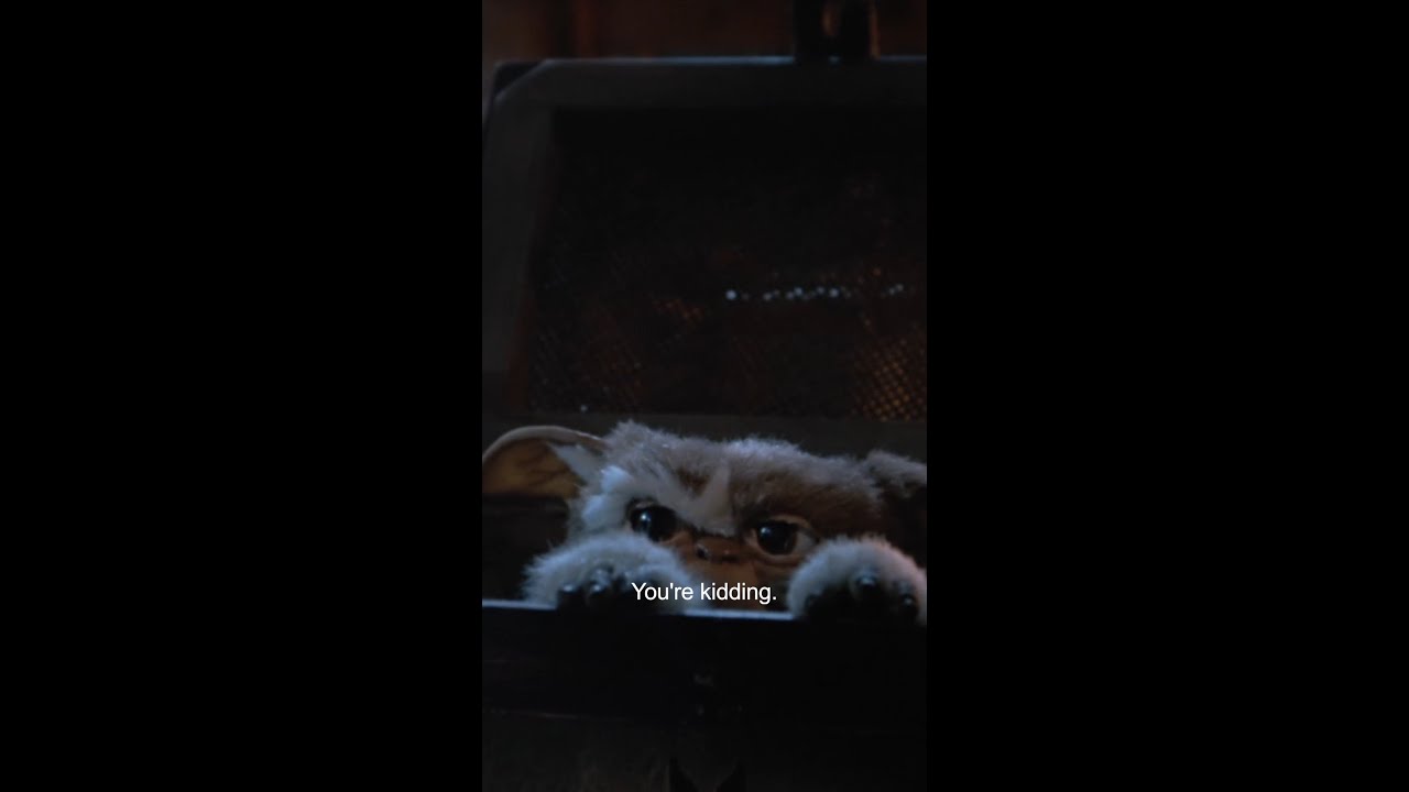 Meet Gizmo (Please Read the Rules) | Gremlins - YouTube