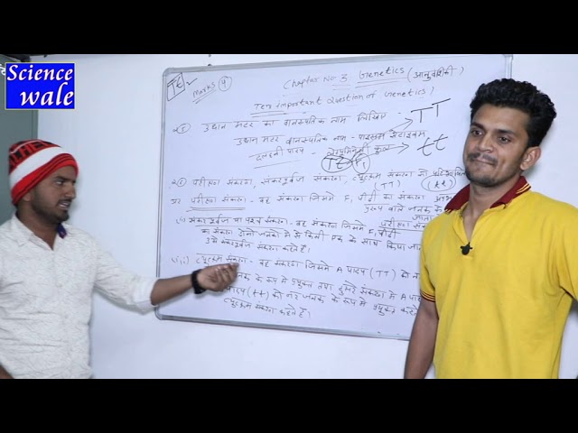 Genetics explained in the most simplest way Genetics explained in the most simplest way