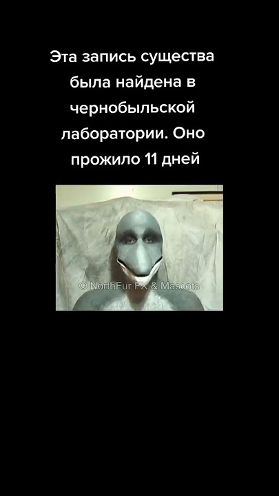 https://www.tiktok.com/@bnaiks/video/6960247379459132673