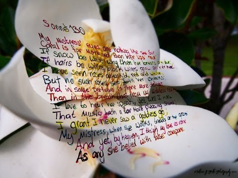 Sonnet 18 essay