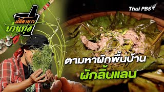 ผักลิ้นแลน | ภัตตาคารบ้านทุ่ง