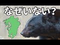 九州にクマがいない理由がこちら【解説】