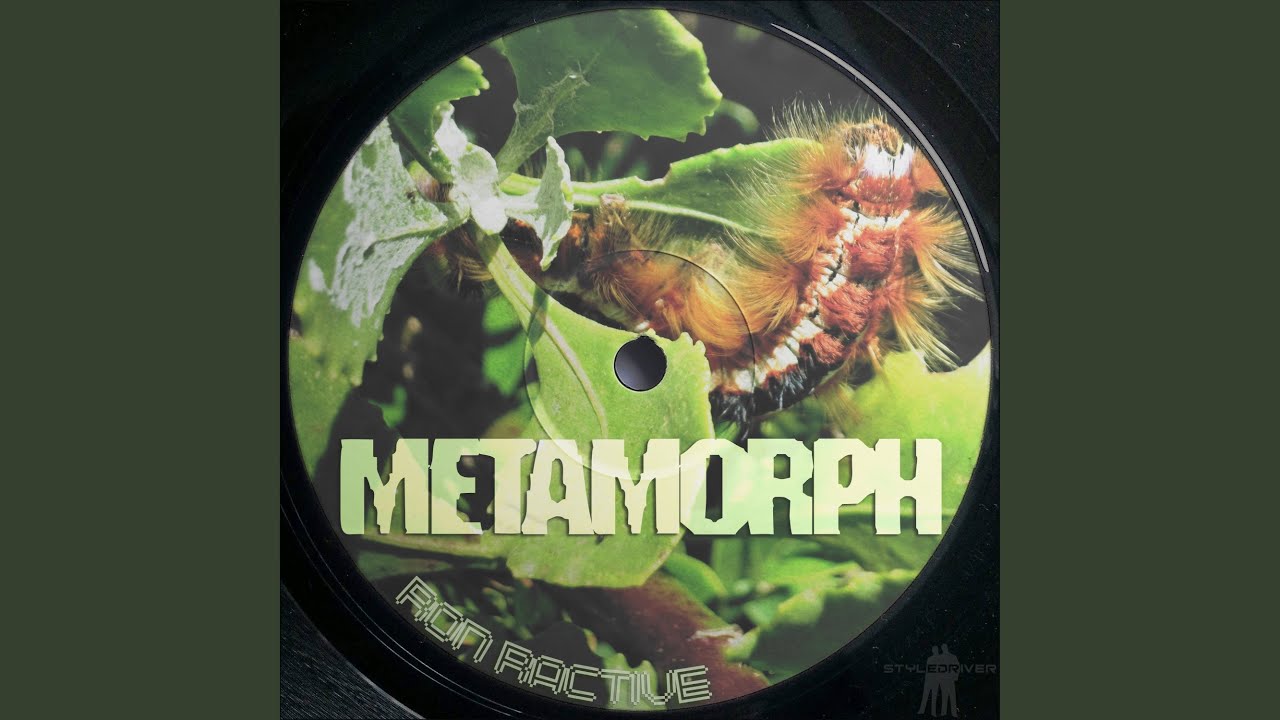 Watch Metamorph on YouTube Watch Metamorph on YouTube