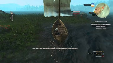 The Witcher 3 Bug