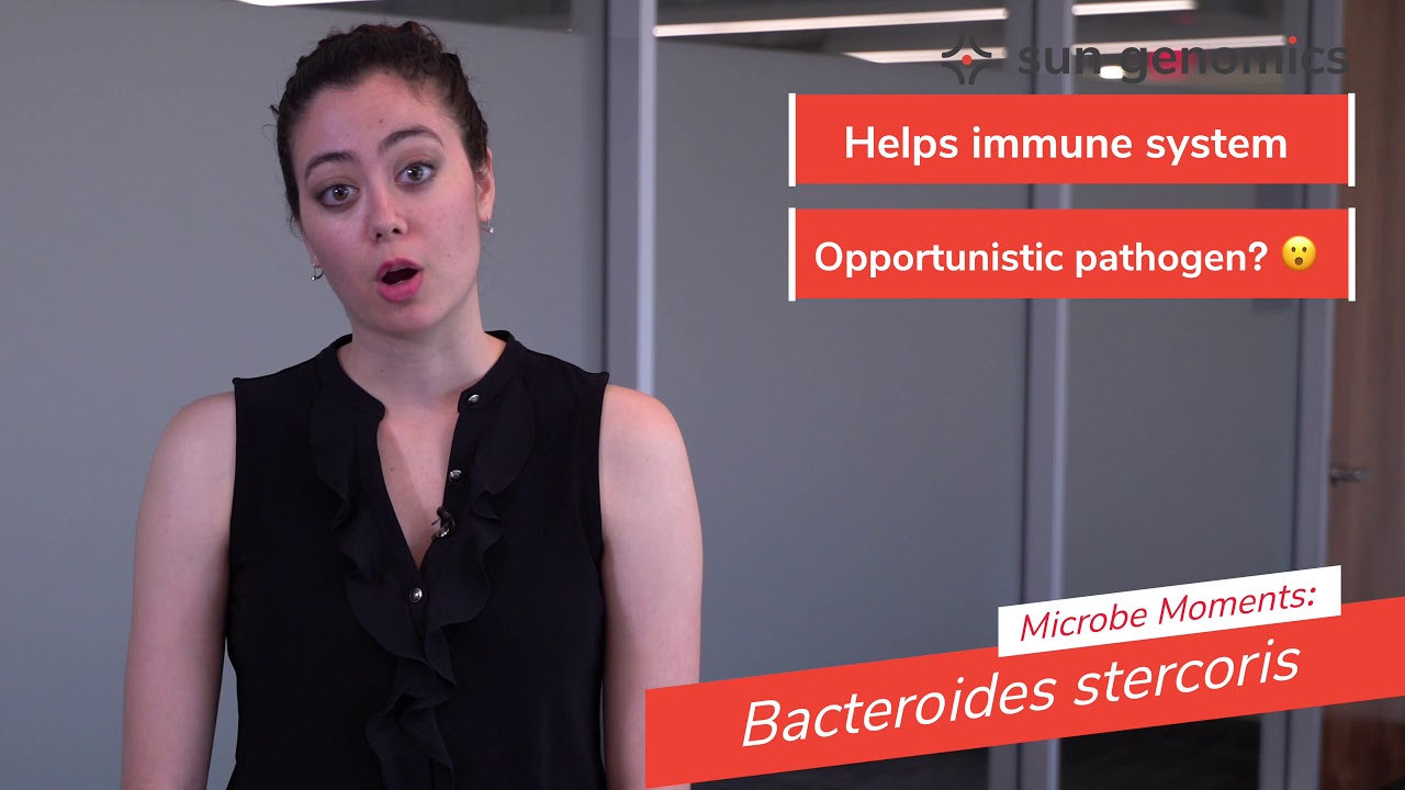 Microbe Moments: Bacteroides stercoris | Sun Genomics