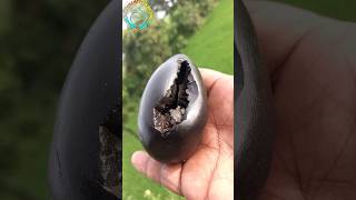 Shaligram -sri varaha shaligram shila ?? shorts short shortsfeed