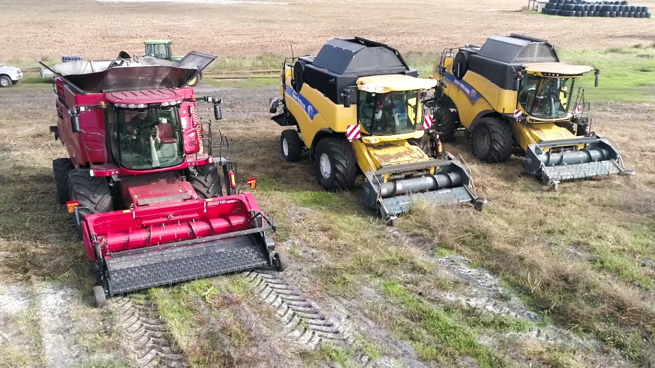 200 HECTARES dans les LANDES ! 3x PICKUP pour une MOISSON de SOJA à L'AMÉRICAINE 🇺🇸