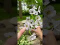 Easy Outdoor Color That Lasts
