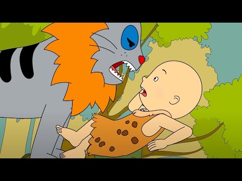 Caillou ve Aslan  | Caillou | Türk Çocuk Çizgi Filmleri | WildBrain Türkçe