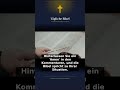 Hauseinsturz in Görlitz - Was Gott Sagt