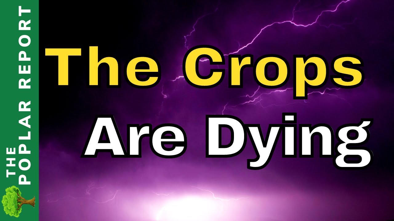 WARNING: SHORTAGES Are COMING | Viewer Updates On The Midwest Drought & Empty Shelves (6-5-23)