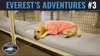 A Day in Jail