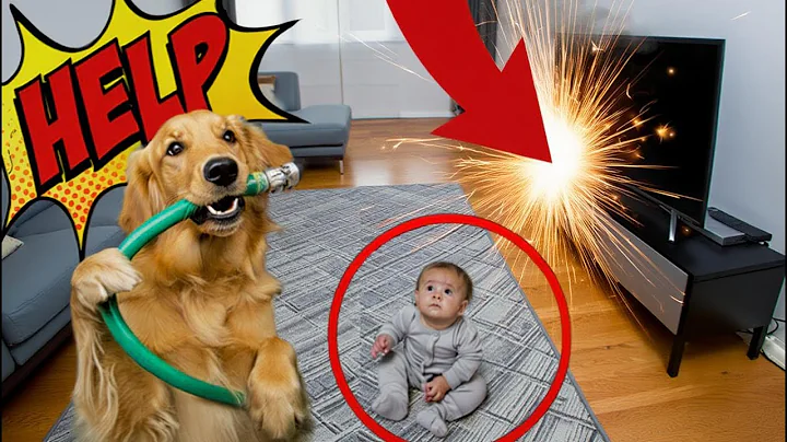 Dog Protects Baby—Heartwarming Moment!😍