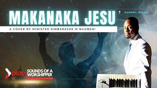 Makanaka Jesu - Minister Simbarashe M Ngobeni