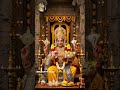 #devotional#govinda#venkateswara#venkateswaraswamy#devotional#govinda#venkateswara#venkateswaraswamy