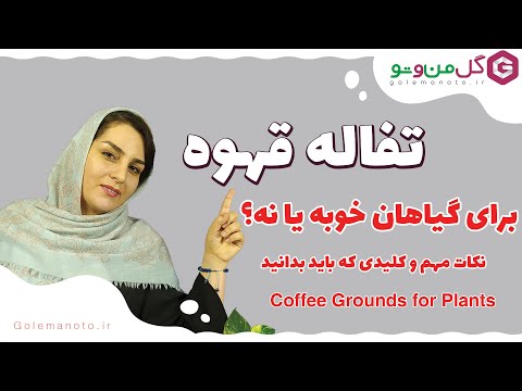 تصویری: آیا باید از کود خرگوش در سایت استفاده کنم؟