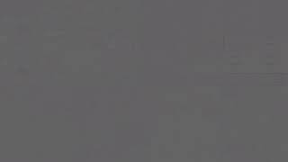 Too Many Gummy Bears 1301000