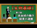 生物基礎【第12回 赤血球の働き 酸素の運搬】オンラインで高校授業