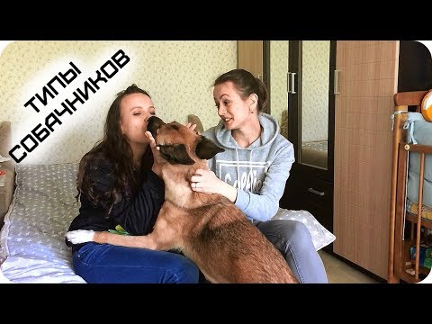 Типы собачников