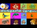 தமிழரசி-விலங்குகளின் தொகுப்பு|Learn Collection of animal Names video for kids & children|Tamilarasi