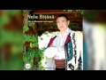 Nelu Bitana - Daca nu-ti cunosti dusmanul (Official Audio).
