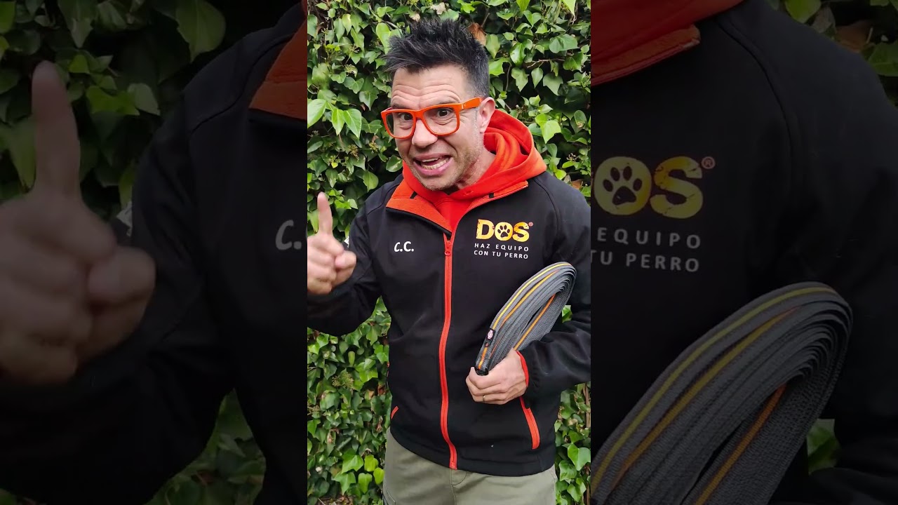 Correa de 10 metros para perros 🐕 | ¿Por qué es imprescindible? 🚀