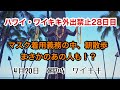 【ハワイ・ワイキキ外出禁止28日目】ワイキキ朝散歩で、あのお方もマスク着用！外出禁止令強化で外出時はマスク着用義務化！