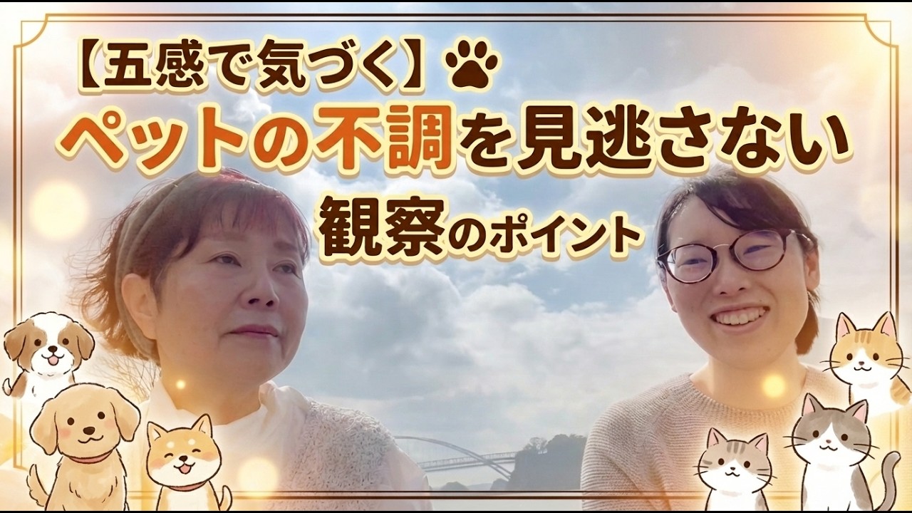 【五感で気づく】ペットの不調を見逃さない観察術のポイント【動物看護師歴14年】