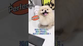 Teka 廚餘攪碎機TR550 真實用家見證分享 九 Luffylovelydog