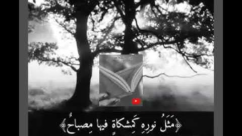 تلاوة خاشعة وآيات مباركة من سورة النور📚|القارئ عمر الدريويز|حالات واتس اب إسلامية💞