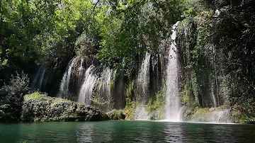 60 Minute Meditation Waterfall in the Forest Relaxation With Music