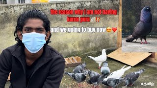 The reason why I am not having karna pura?️⁉️ | EXPLAINED | madhomers homerpegion madbird tamil