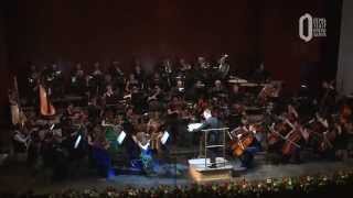 Adagio, Waltz of the Snowflakes. The Nutcracker by Tchaikovsky