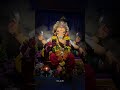 Maza Bappa 🥹❤️ #ganpatibappamorya #ganpati #bappamorya #bappamajha #ganesha #alibag #lalbaug
