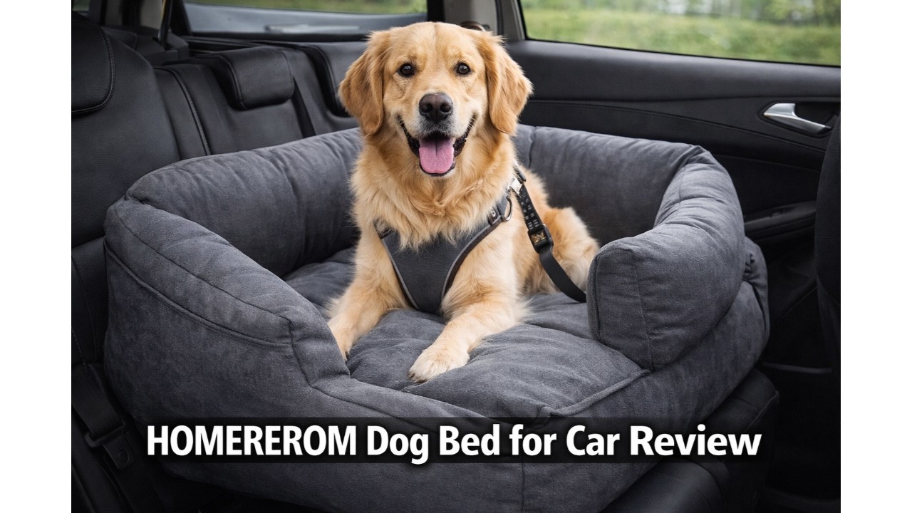 🚗 HOMEREFROM Dog Bed for Car Review 🐾