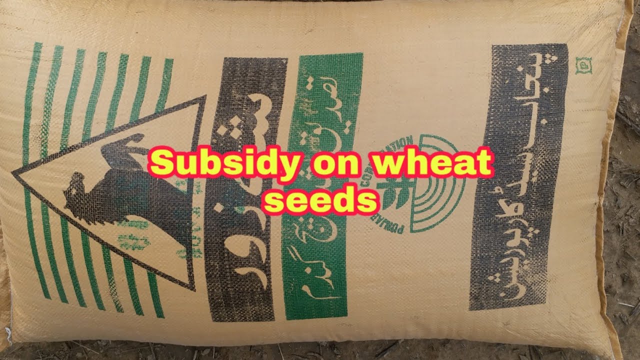 Subsidy on wheat seeds,