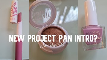 June Bride Project Pan Intro #junebridepp #projectpan