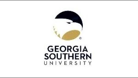 Cross Section of the Spinal Cord