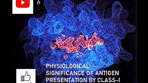 physiological significance of antigen presentation by class-I MHC GATE BT/DBT JRF/ICMR JRF/CSIR-NET