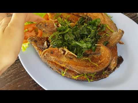 ร้านอาหารเมนูปลา สดที่สุดในสิงห์บุรี (ร้านซ้งปลาแม่น้ำ)