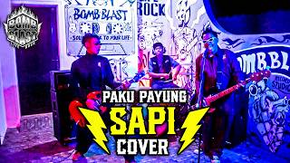 SAPI - PAKU PAYUNG | BOMB BLAST COVER