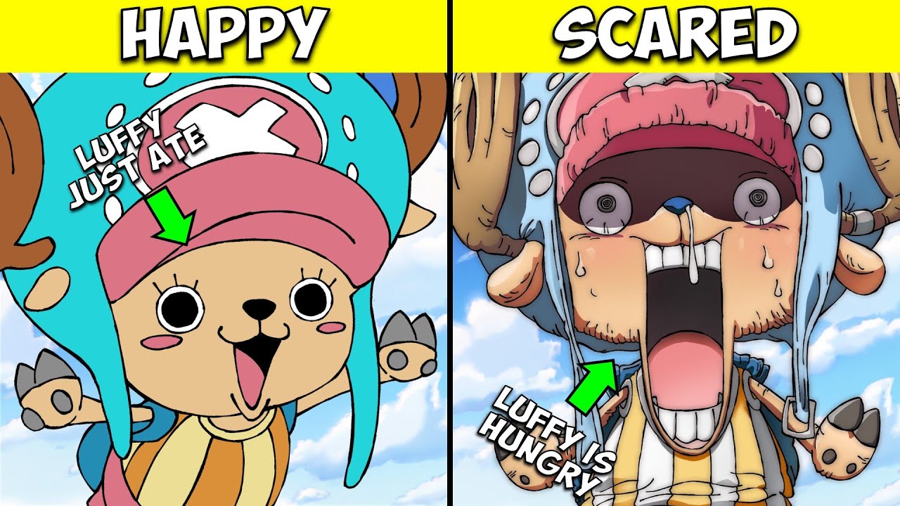 Who is Tony Tony Chopper in One Piece?