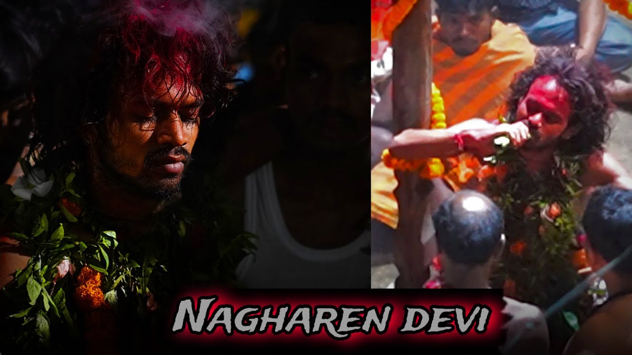 Nagharen devi bayel jatra 2025 / ମାଁ ନଘରେନ୍ ଦେବୀ ବଏଲ୍ ଯାତ୍ରା #patnagarh #odisha 