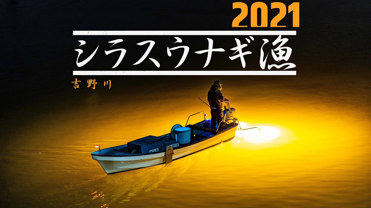 徳島県 吉野川 シラスウナギ漁 Tokushima Prefecture Yoshino River Glass Eel Fishing Youtube